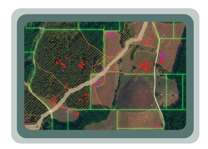 Análise Socioambiental